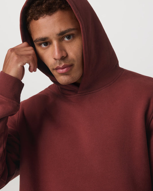 Seaside Pullover Hoodie Men's Spiced Apple Hoodie | Vuori shop - US 5509